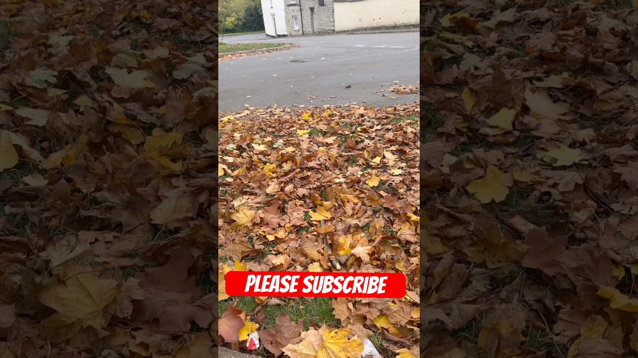 When autumn falls!!please 