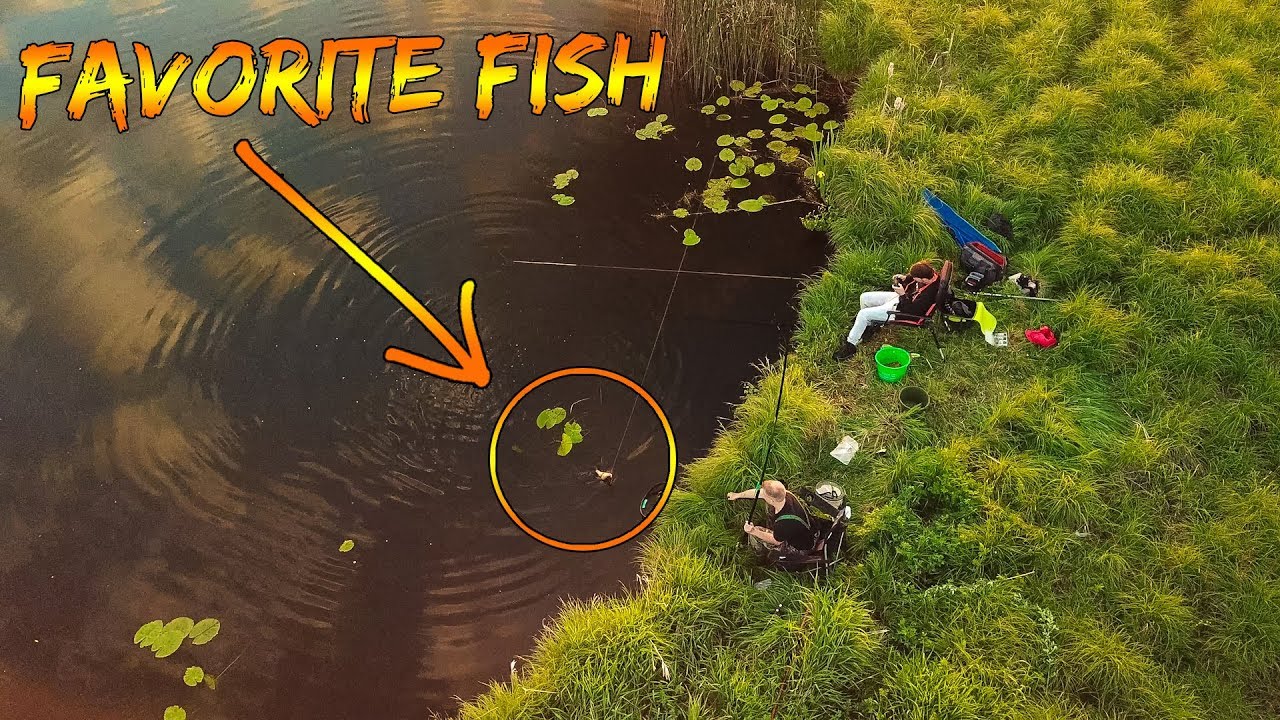 Float Fishing in Small River - Summer Fishing *GOOD TIPS* | Team Galant