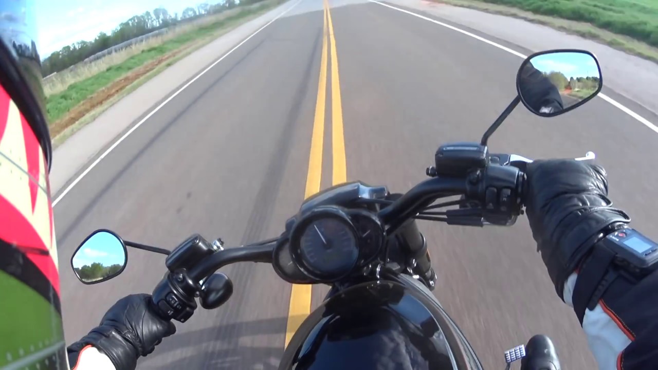 Rabid Hedgehog's Review of the 2015 Harley Davidson Night Rod Special