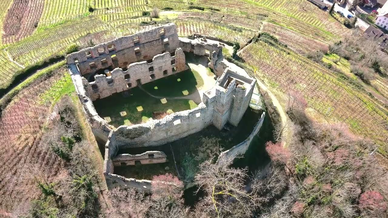Rund um die  Burgruine Staufen im Breisgau