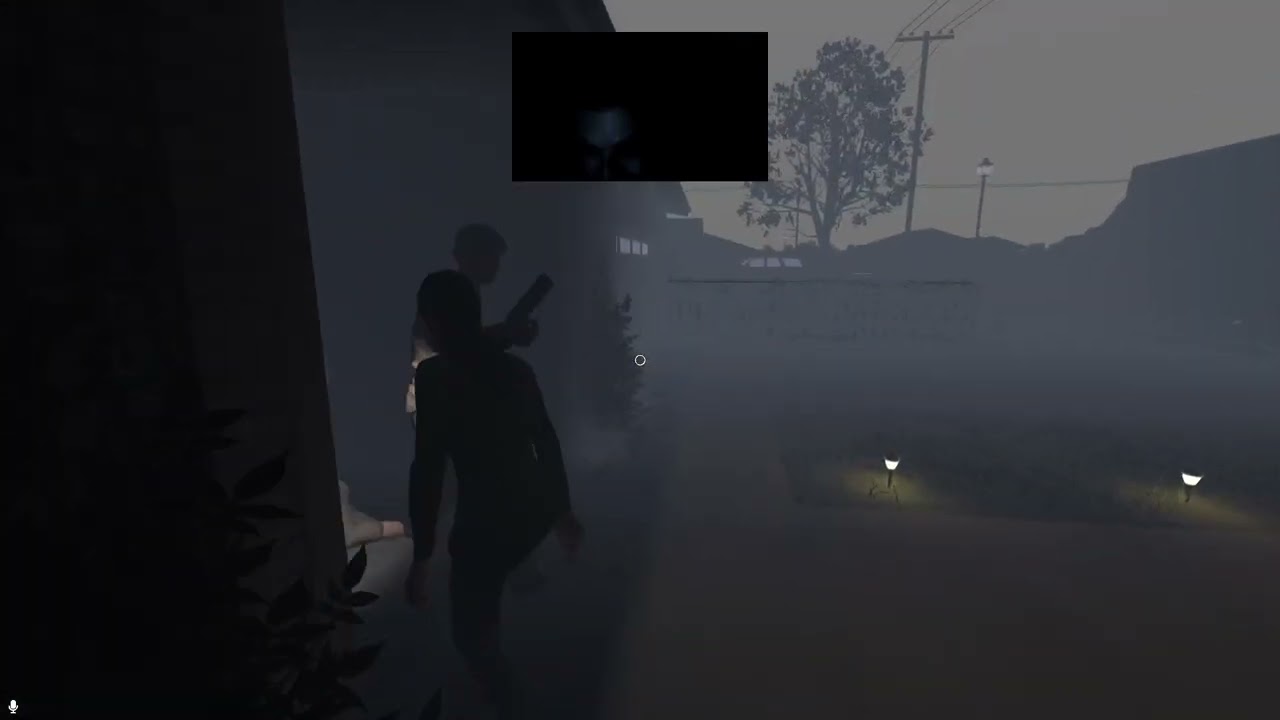 GHOST HUNTING IN THE DARK too