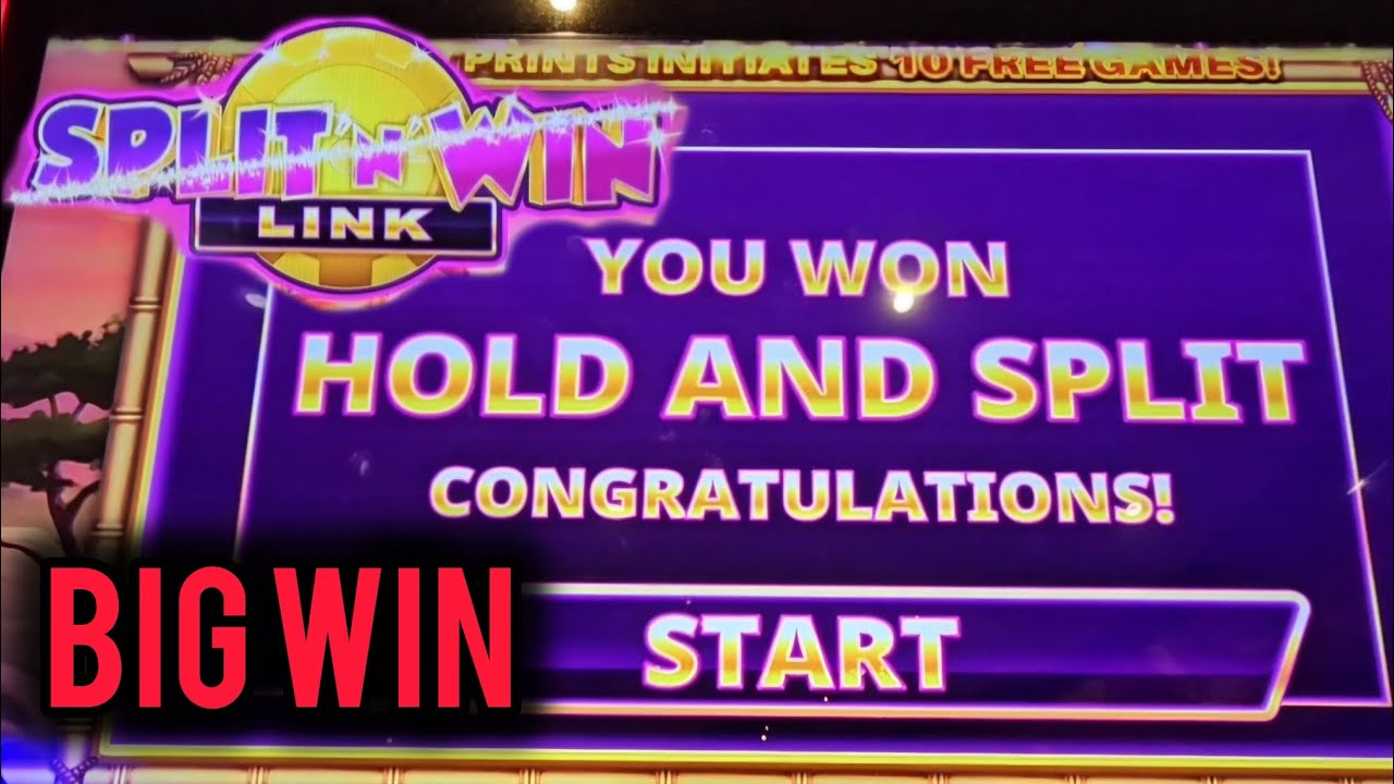 Cats Split N Win Link Hit Nice!