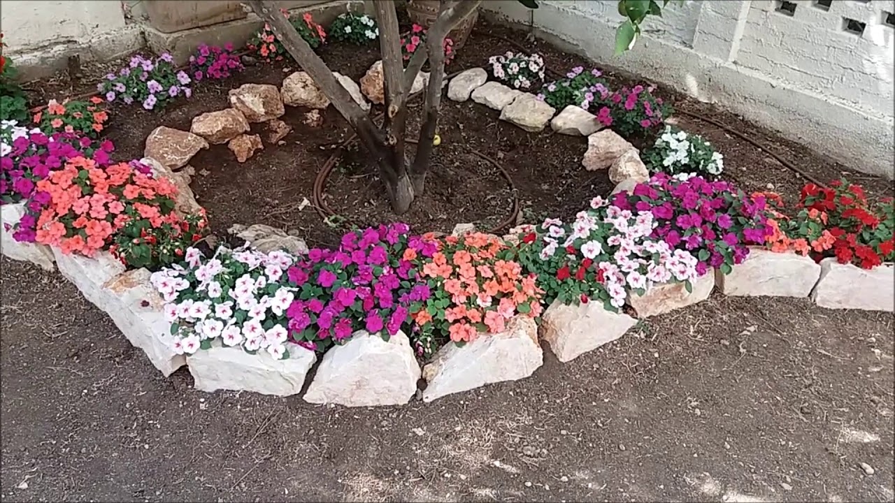 הקמת גינה בחיפה עם דשא ומלא פרחים 🌺🌼🌸🌹🌻