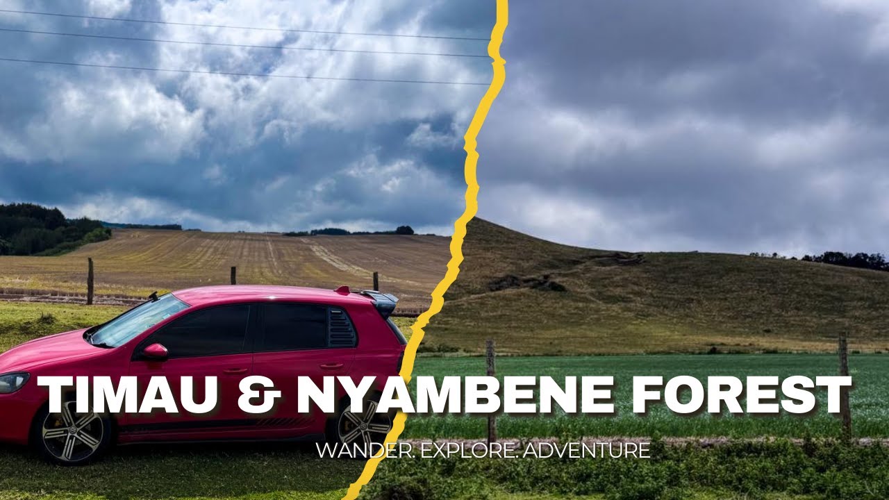 WHERE GREEN NEVER ENDS | TIMAU, MERU & NYAMBENE FOREST