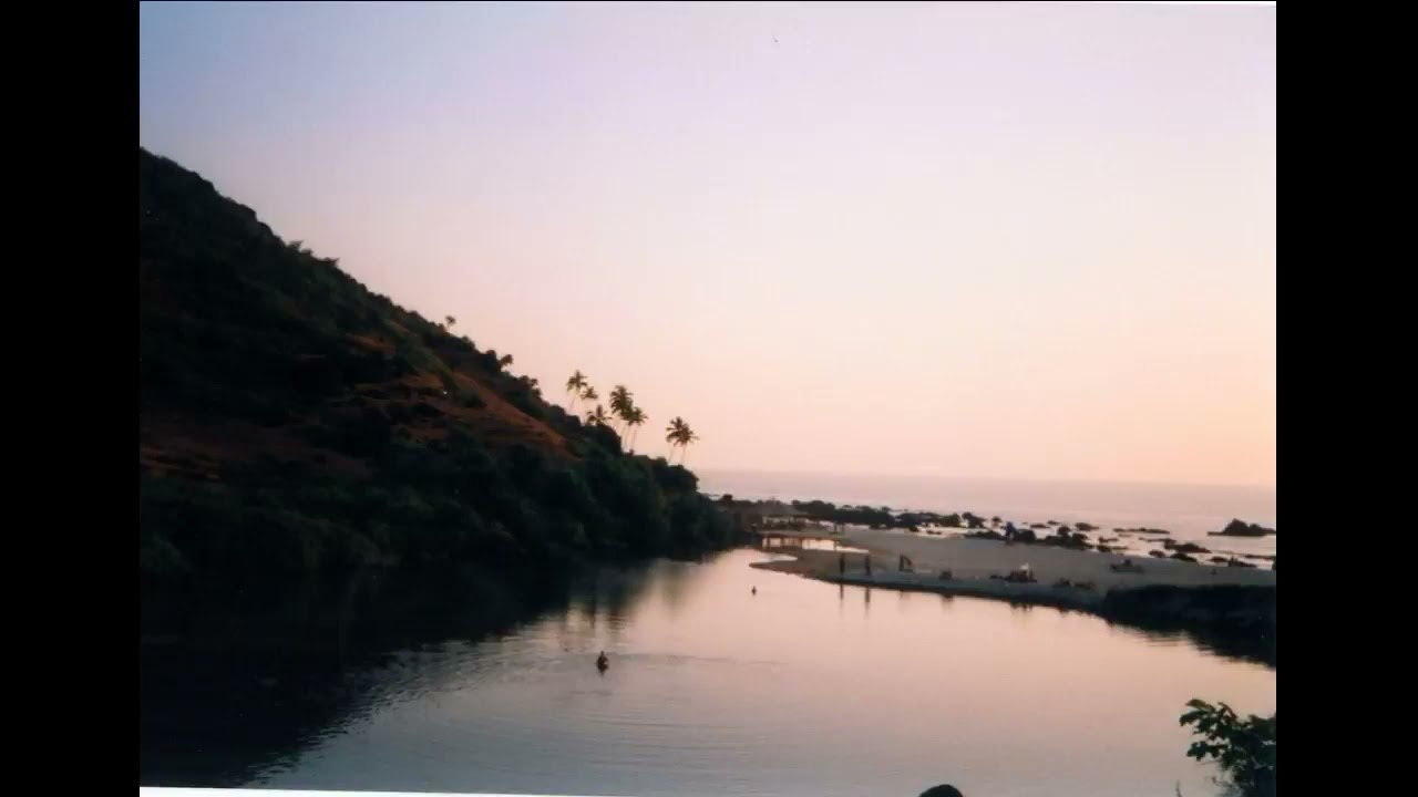 some tracks from GOA party 1993