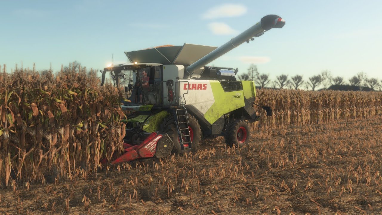 Farming Simulator 25 / Harvesting corn #2