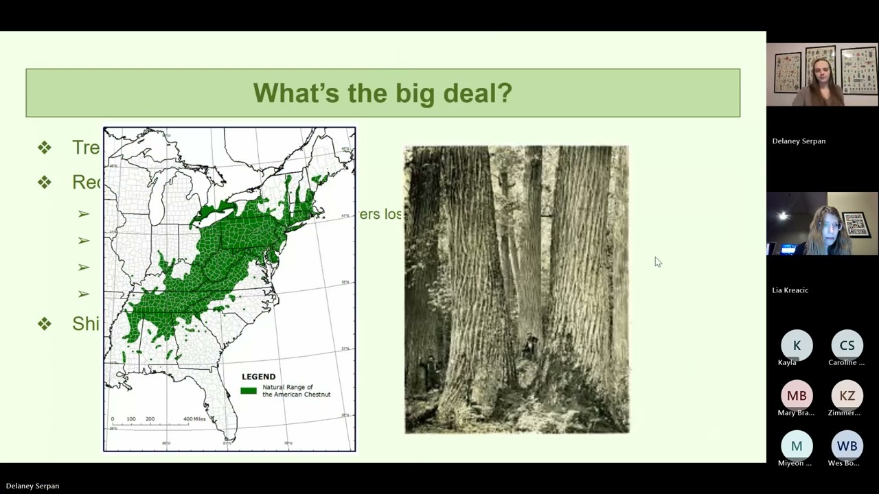 Environmental Lecture Series: Insects in the Woods the Good, the Bad, and the Invasive 02 09 2026