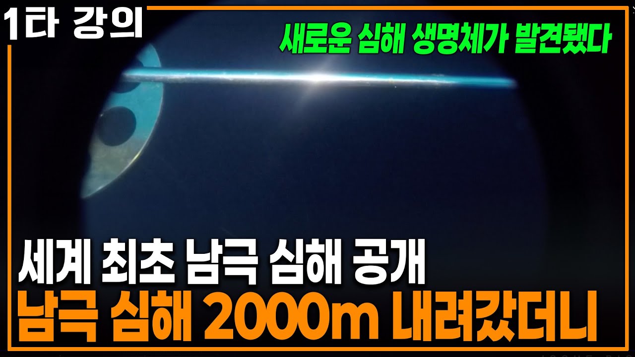 세계 최초 공개! 남극 2,000m 심해의 모습 | KBS 20210411 방송