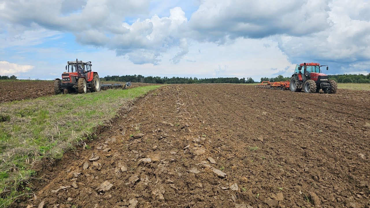 ZTS 16245& CASE MX135 |Uprawa w deszczowych warunkach| 1/2