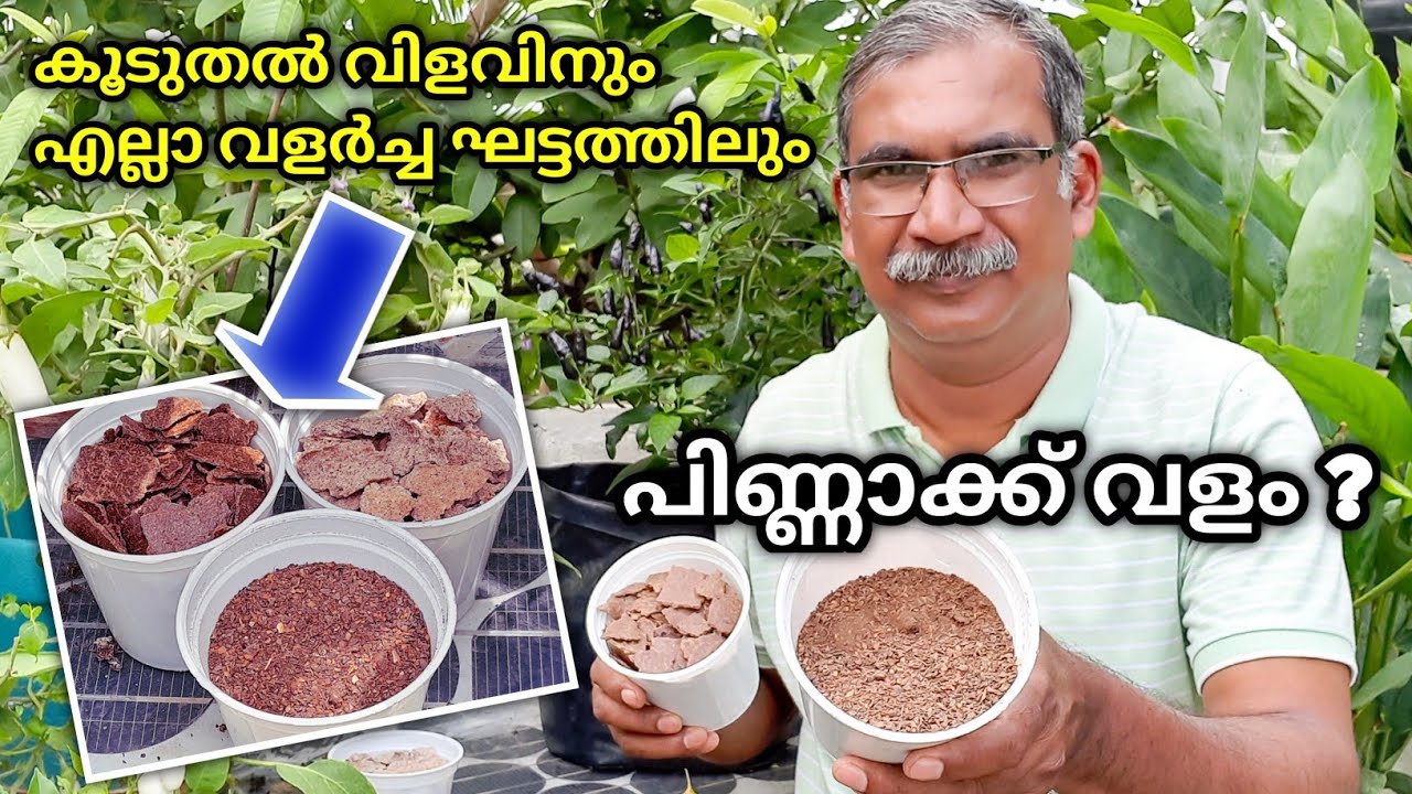 Neem Cake Fertilizer|Groundnut Cake| Coconut Cake Fertilizer|Which of the Cake Fertilizer is better