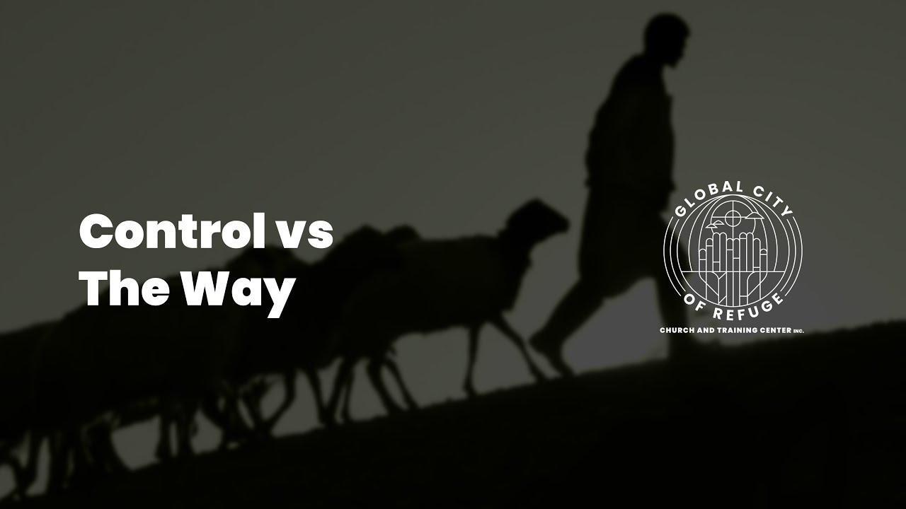 Control vs The Way