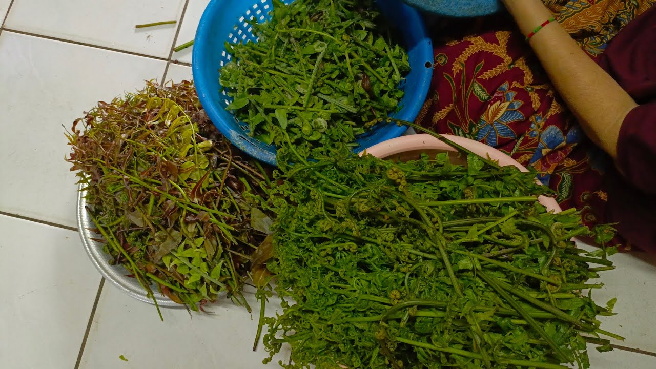 Sayur Segar Dihutan Paling Sedap//Lauk kampung