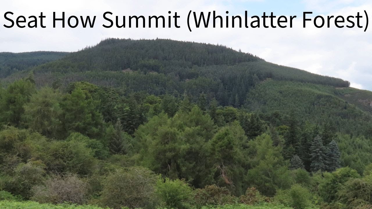 Seat How Summit (Whinlatter Forest) in the Lake District