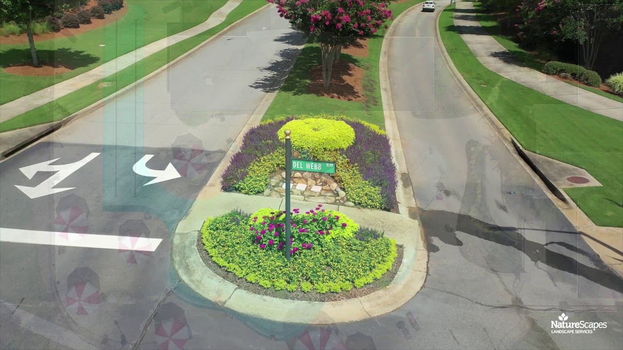 Active Adult Community Sun City Peachtree in Griffin, GA
