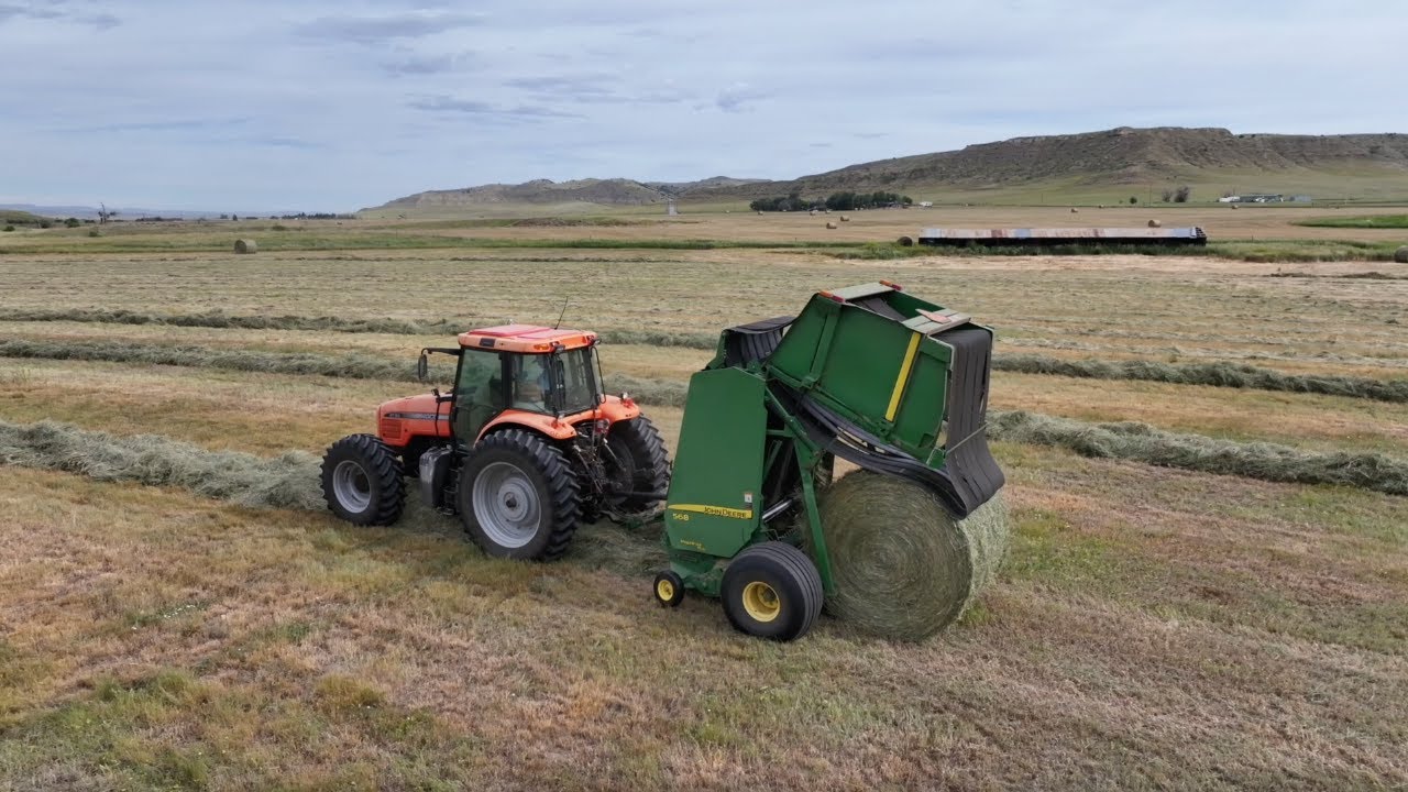 Making Hay (While the Sun Shines)