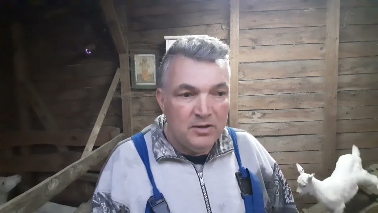 Deparazitarea caprelor,  primăvara și &icirc;n cursul anului  !
