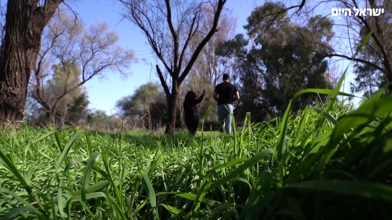 נפצעה בראשה מנשק המחבלים - ובנס לא נחטפה: העדות המצמררת של ניצולת 