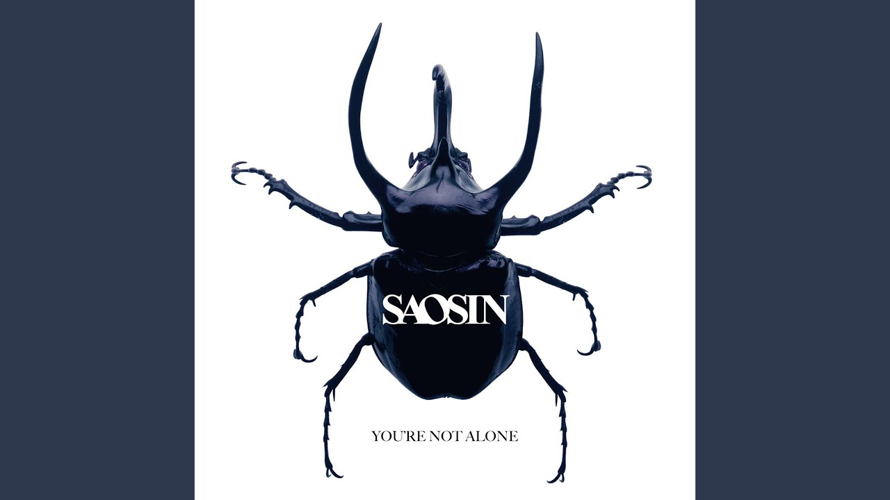 You're Not Alone (Radio Edit)