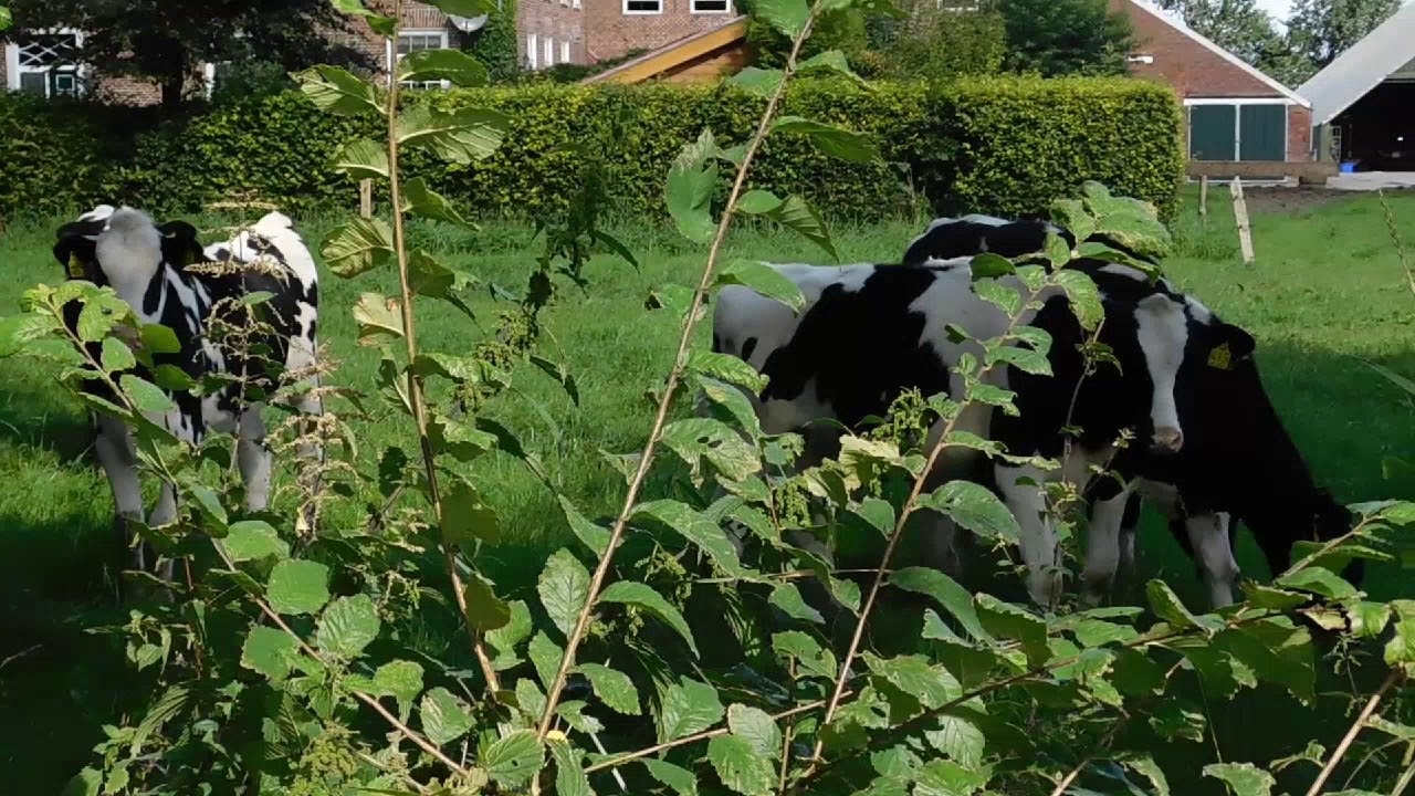 Radtour Norden Dornum Teil 2