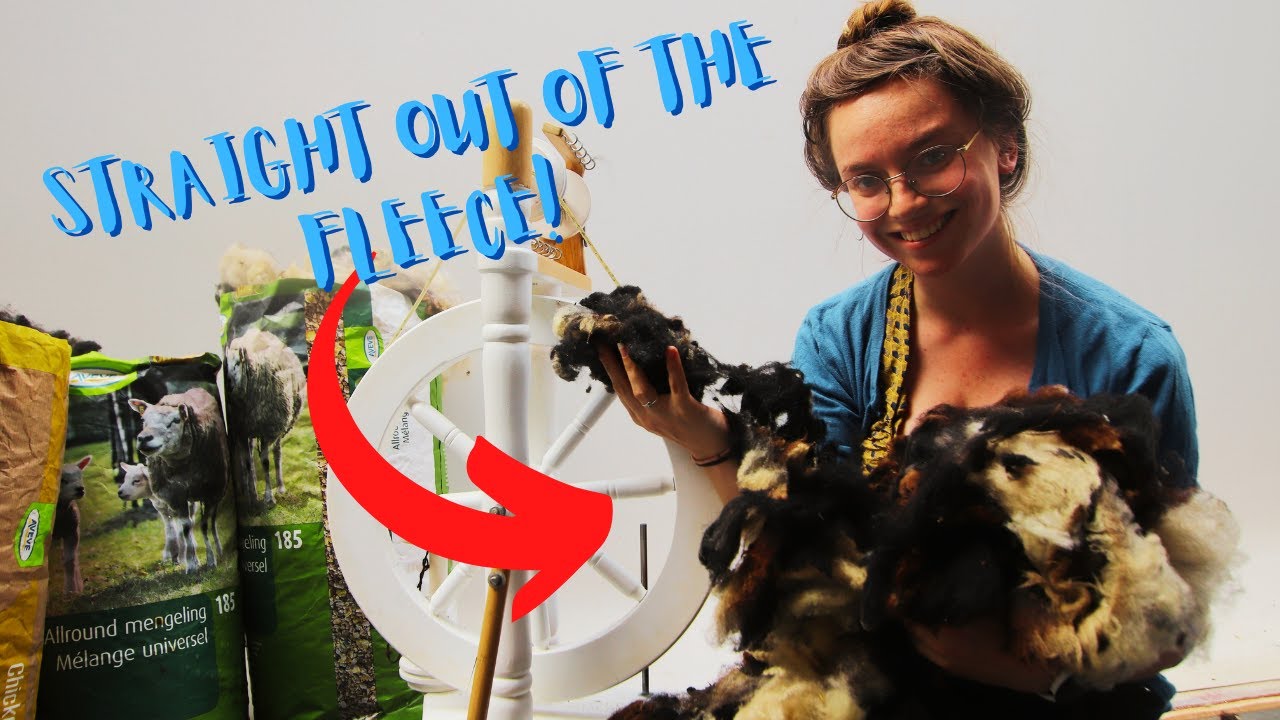 Spin with me: Spotted Sheep in the Grease!