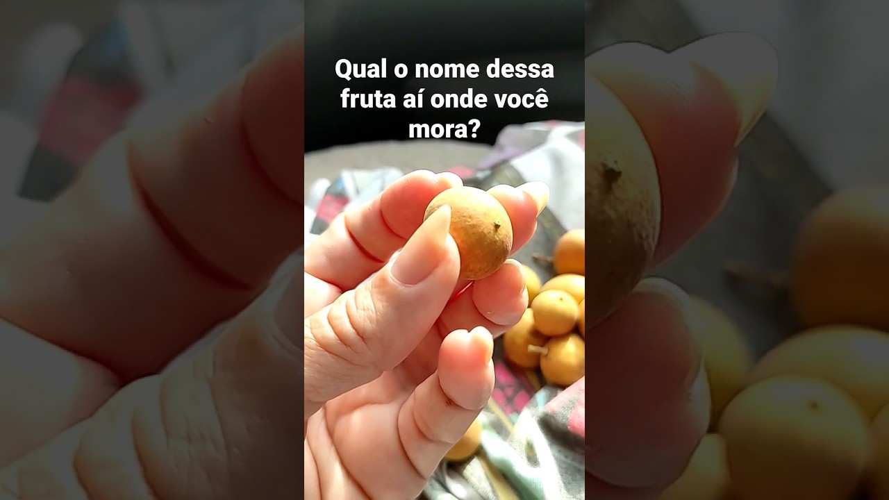 FRUTAS T&Iacute;PICAS DO NORDESTE