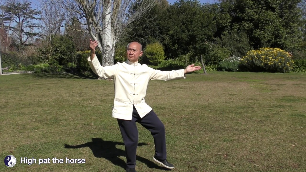 Yang Tai Chi Levels 5 & 6