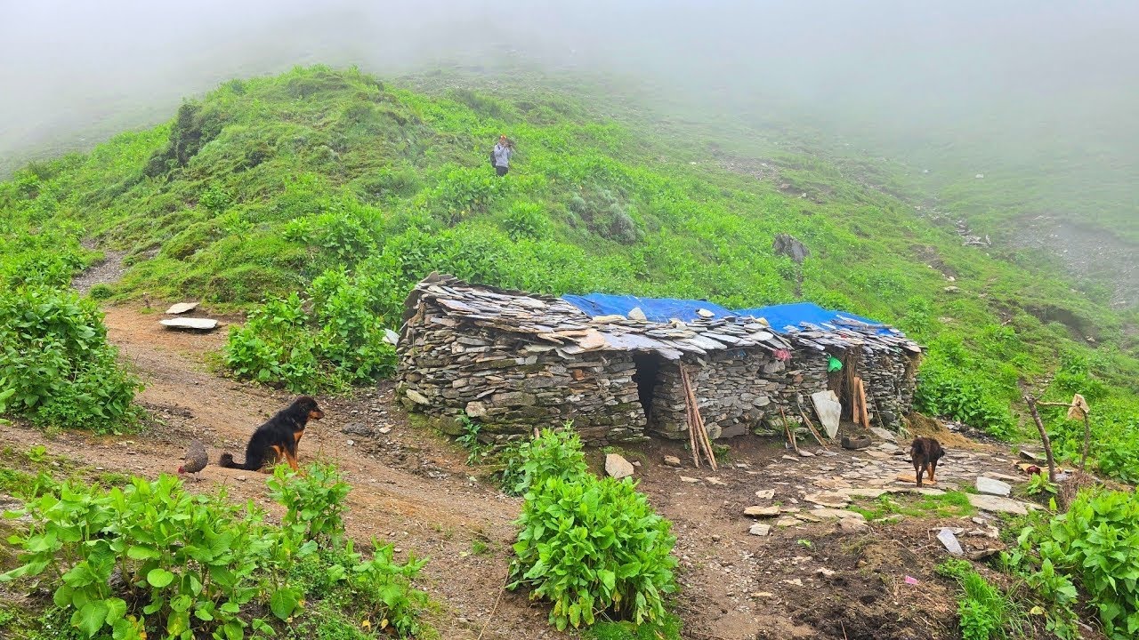 Naturally Beautiful Mountain Village Life During the Rain | Most Peaceful And Relaxation Rural Life