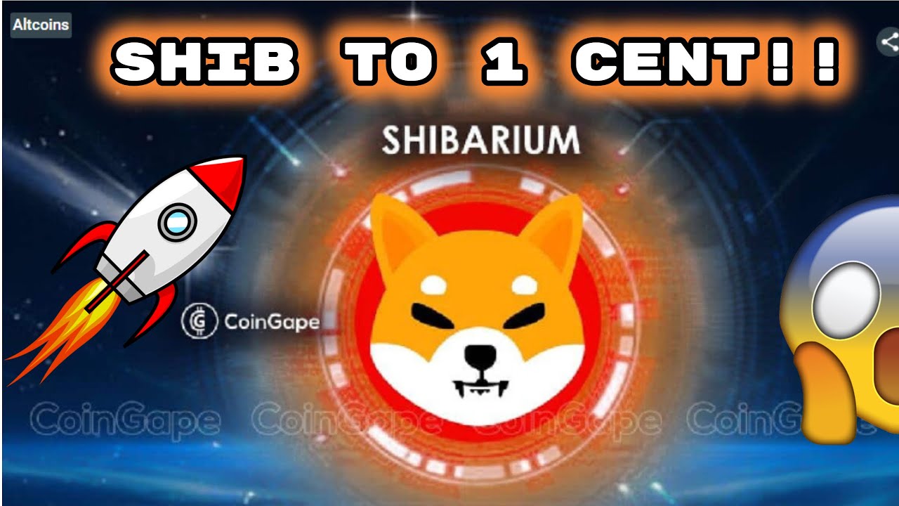 WILL SHIBARIUM LAUNCH NEXT WEEK?!!! 😱🚀