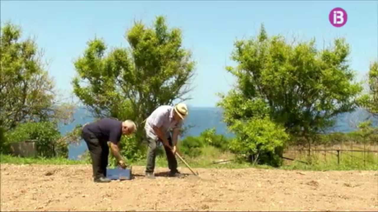 Uep Com anam? Hotel Sa Coma