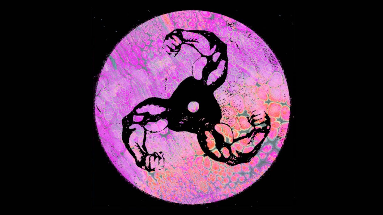 BICEP | NIGHT TRAX