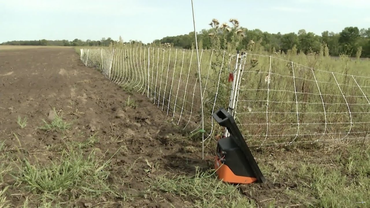 Prairie Yard & Garden | Minnesota Native Landscapes | Steps to Plant Native Species