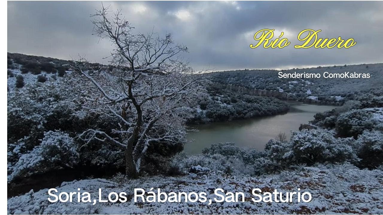 Ruta del Duero en Soria: miradores, San Saturio y Los Rábanos