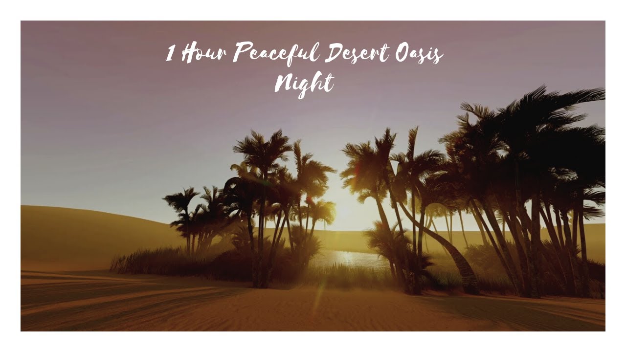 60 min Peaceful Desert Oasis Night 🏝 Sounds for Sleep and Relaxation (Desert Wind Sound)