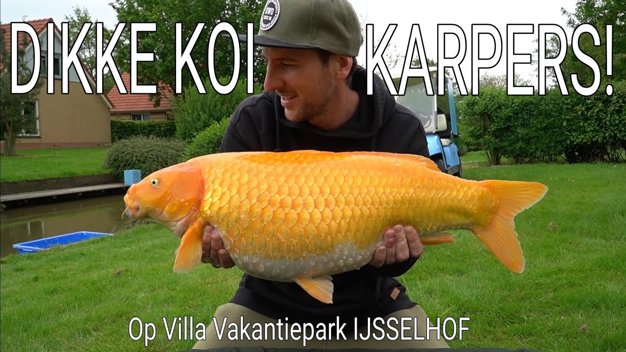 #212 - KARPER Vis VAKANTIE & Koi KARPERS Uitzetten Op VAKANTIEPARK IJSSELHOF! - Robert Grootenboer