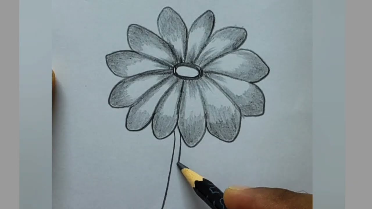 howtodraw beatifull flowers Rose drawing easy rose flowers arts mahinartseasy  pencil drawing 