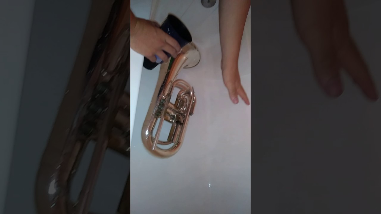 Cleaning a Baritone