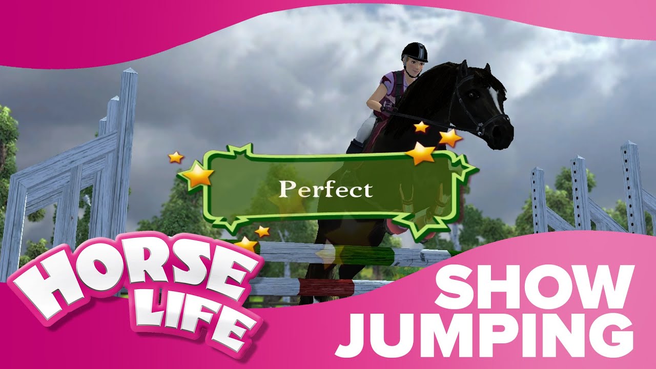 Amateur Show Jumping | Horse Life 2 Competitions 🏆