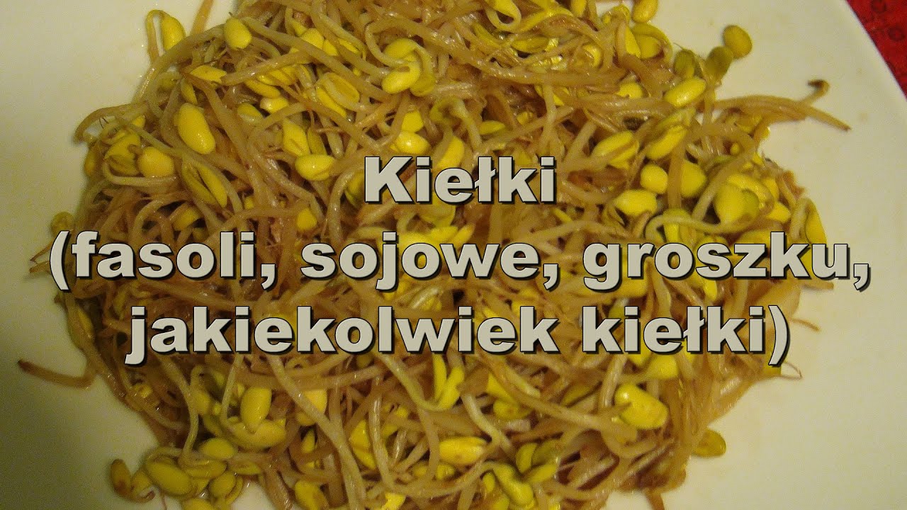 Kiełki - zdrowa  potrawa chińska