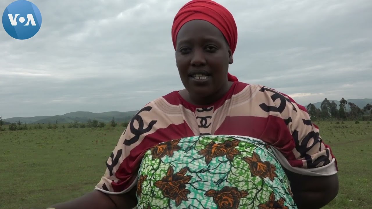 #Abanyamulenge bo mu #Minembwe bahangayikishijwe n’imitwe y’itwaje ibirwanisho ikorera muri  #Fizi