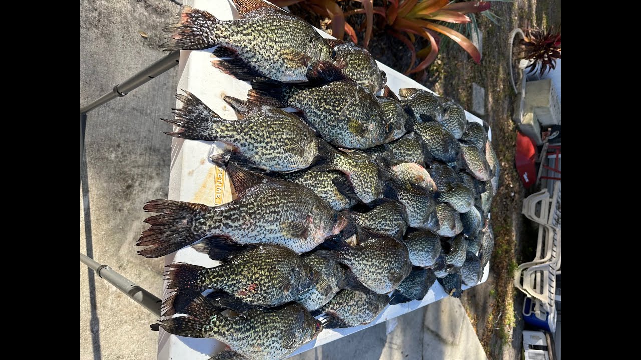 When Bad Weather Brings the Best Crappie Fishing