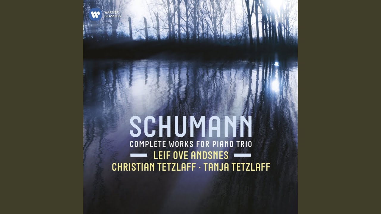 Piano Trio No. 3 in G Minor, Op. 110: I. Bewegt, doch nicht zu rasch