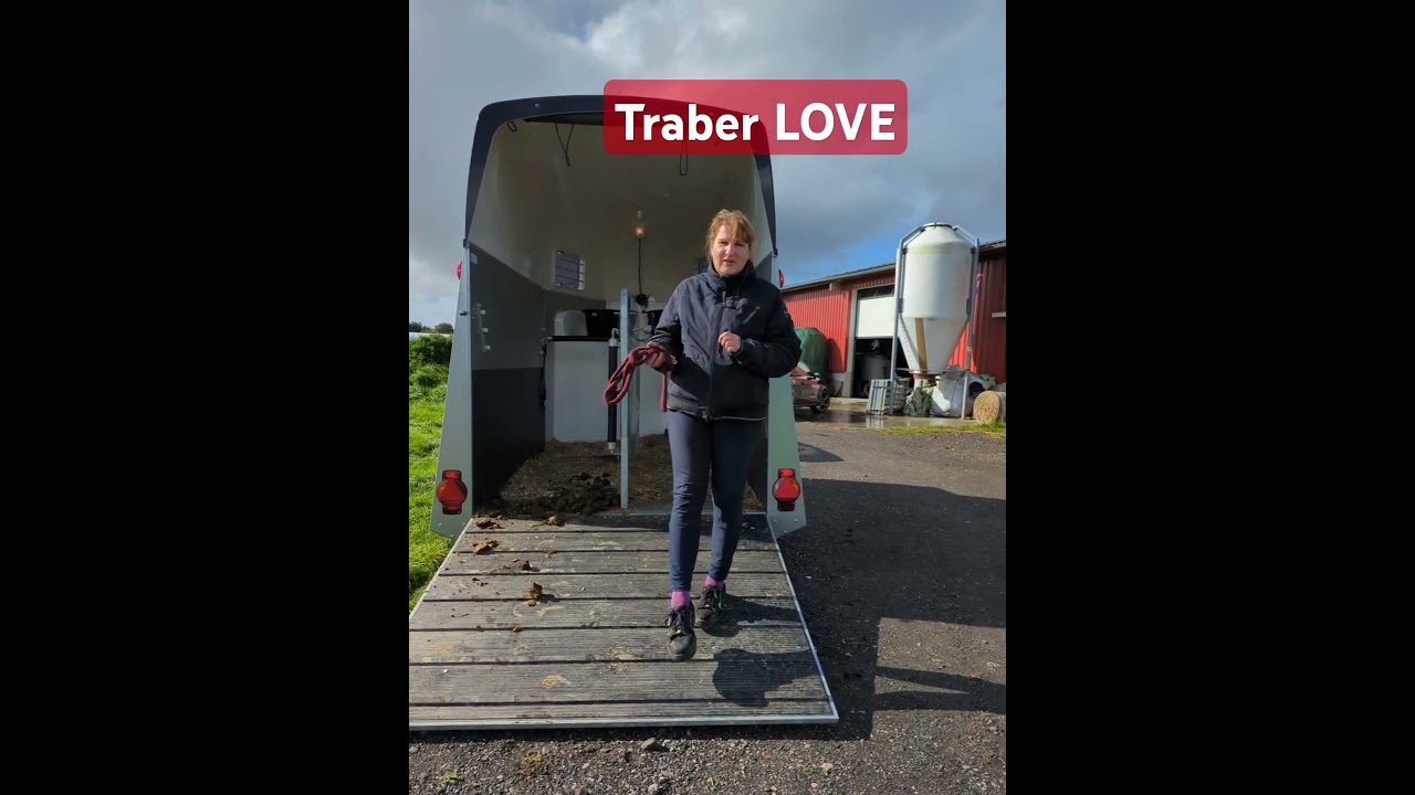 Pferdetransport