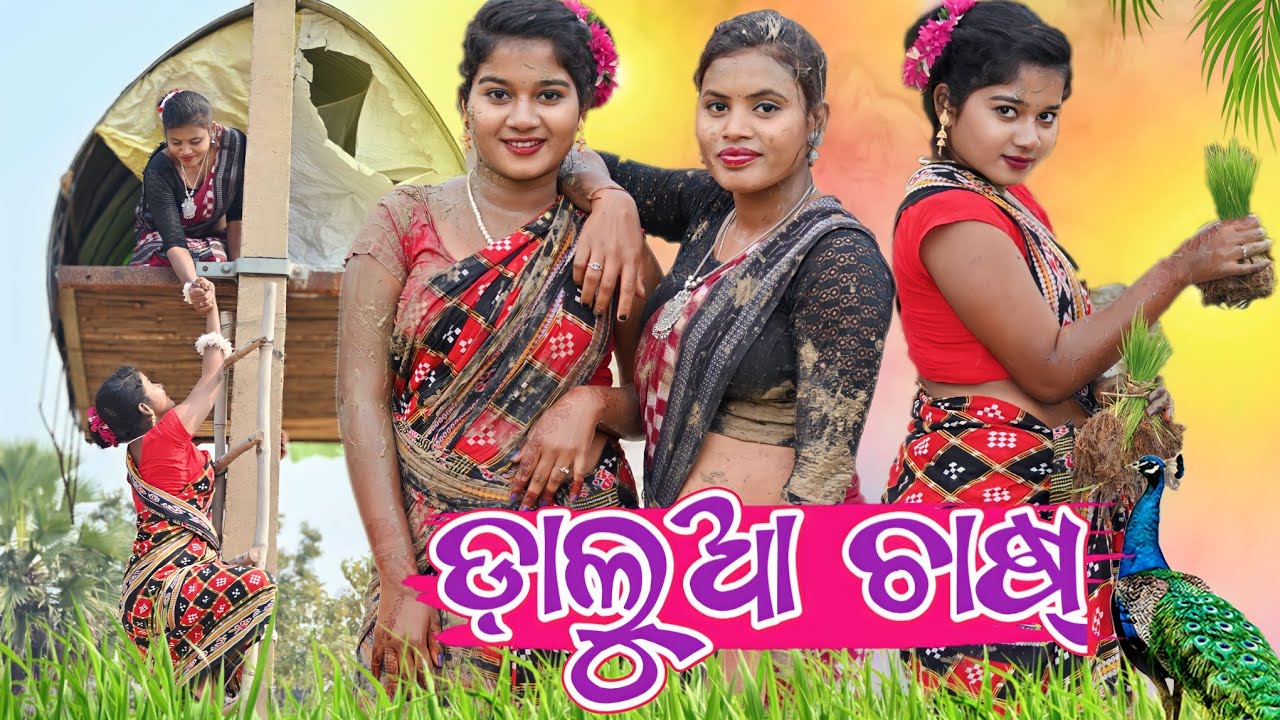 ଡ଼ାଲୁଆ ଚାଷ୍ 🌾 କେନ୍ତା ହେଲା ?? / New Sambalpuri Comedy Video / Recent Viral Video #sambalpuri_comedy