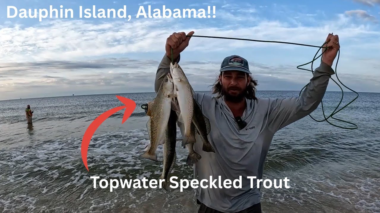 Topwater Trout Action, Dauphin Island, Alabama
