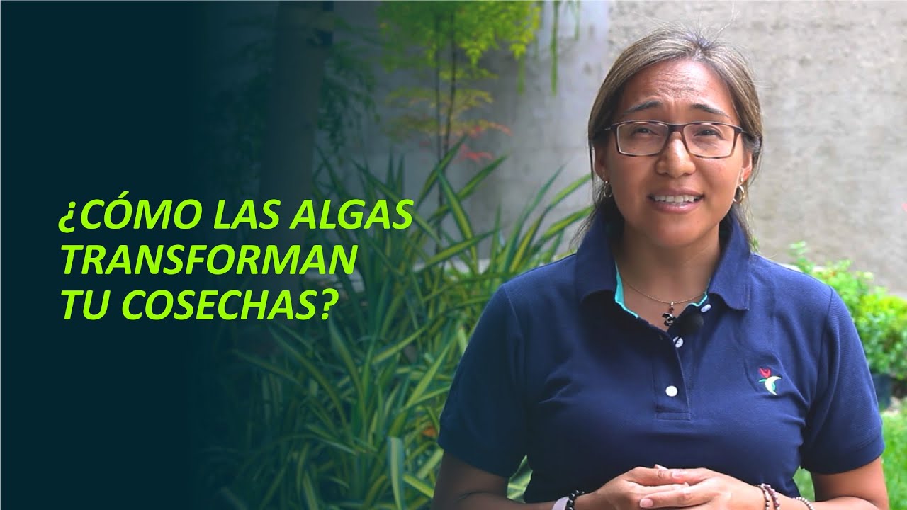 Algas marinas en la nutrición vegetal