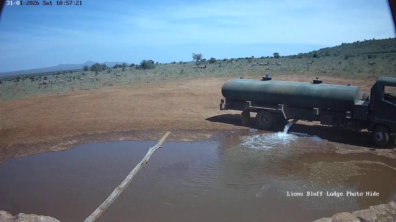 Lions Bluff Lodge Photo Hide - Live Stream