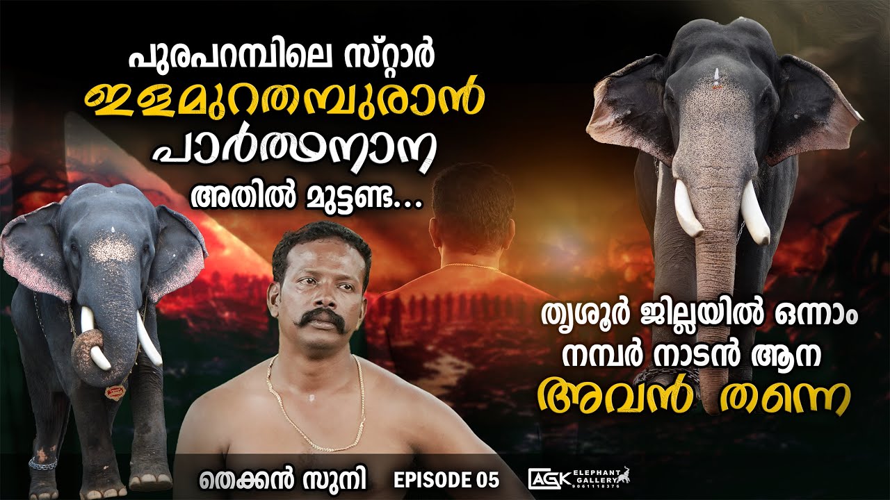 പുരപറമ്പിലെ സ്റ്റാർ ഇളമുറതമ്പുരാൻ പാർത്ഥനാന.. അതിൽ മുട്ടണ്ട | തെക്കൻ സുനി | EPISODE 05