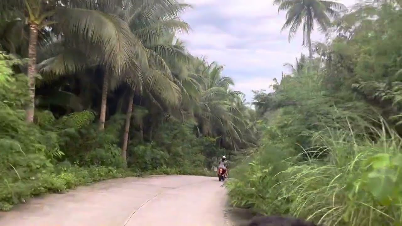 CAPUL ISLAND - Driving from BRGY LANDUSAN to SAWANG . Enjoy the view!