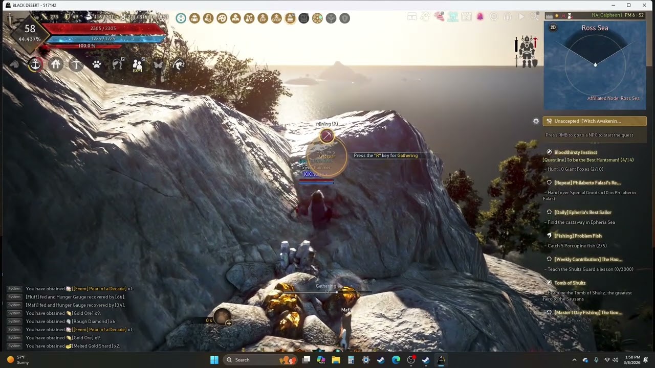 Black Desert Online : Gold Node