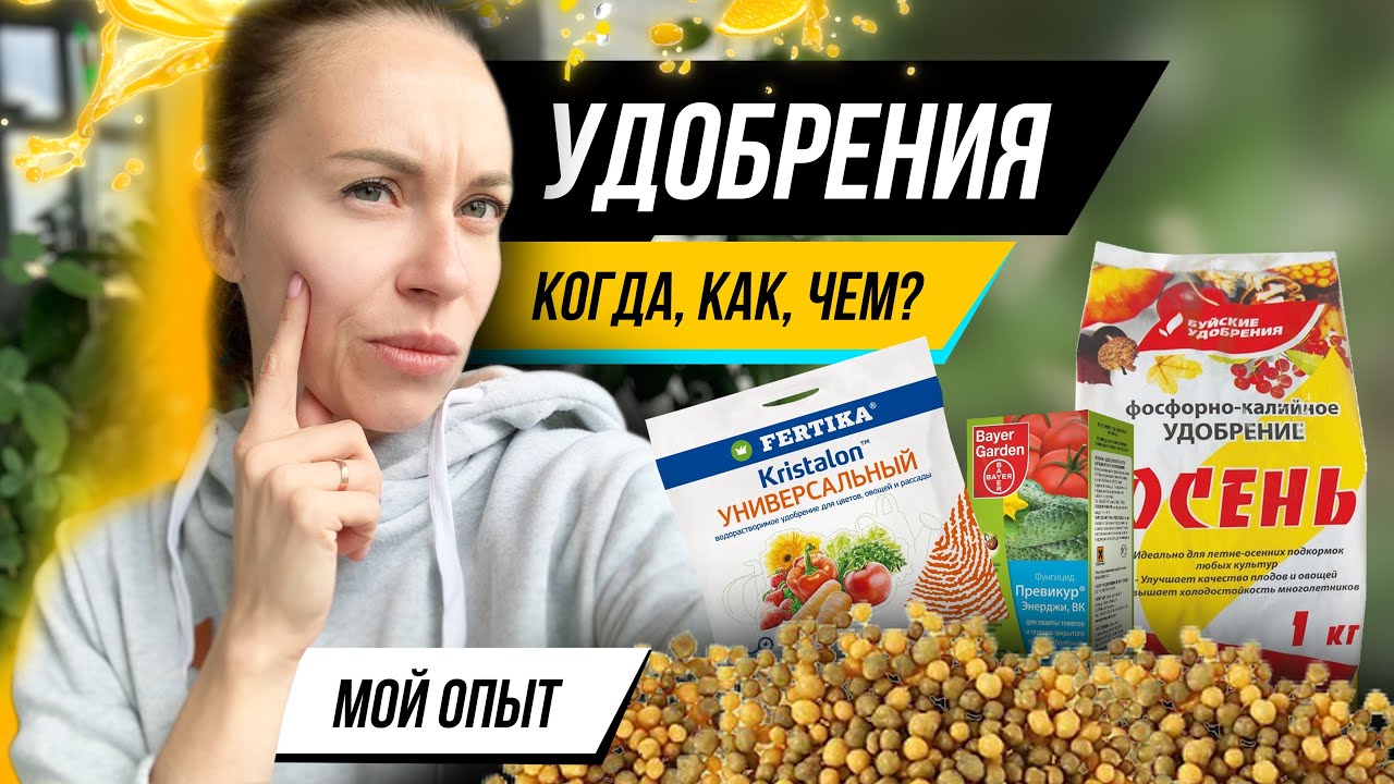 Удобрения для цитрусов | нюансы подкормки | чем и когда я подкармливаю свои растения